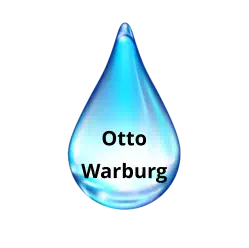 Otto Warburg