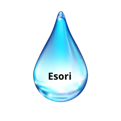 Esori