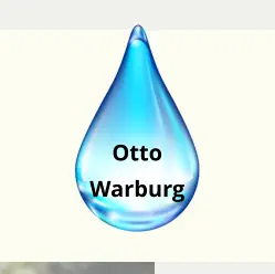 Otto Warburg