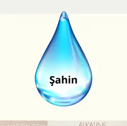 Şahin