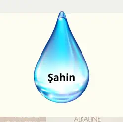 Şahin